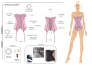 Fashion Design Flat Sketches For Lingerie Tech Pack By Fascin Fiverr